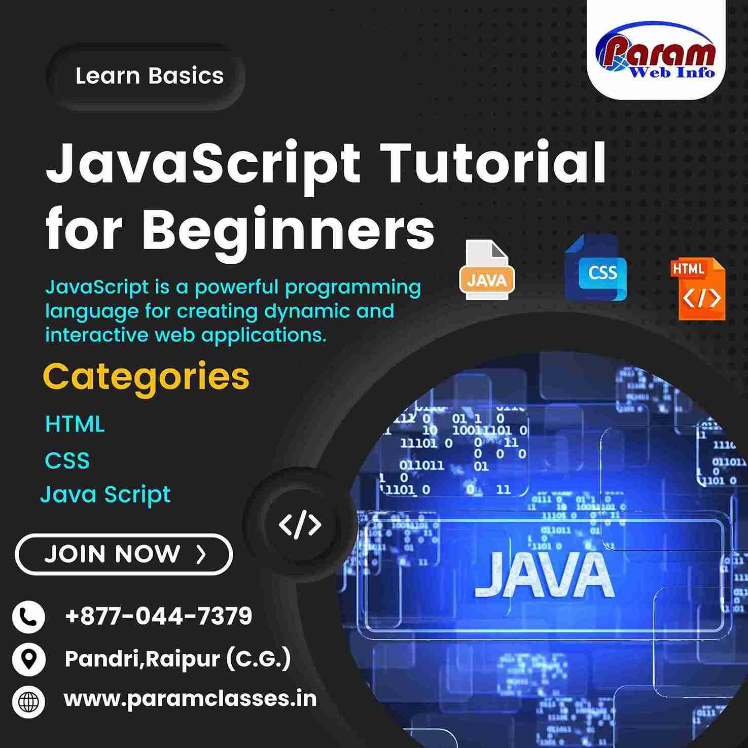 Learn JavaScript Basics Beginner Friendly Course in Raipur